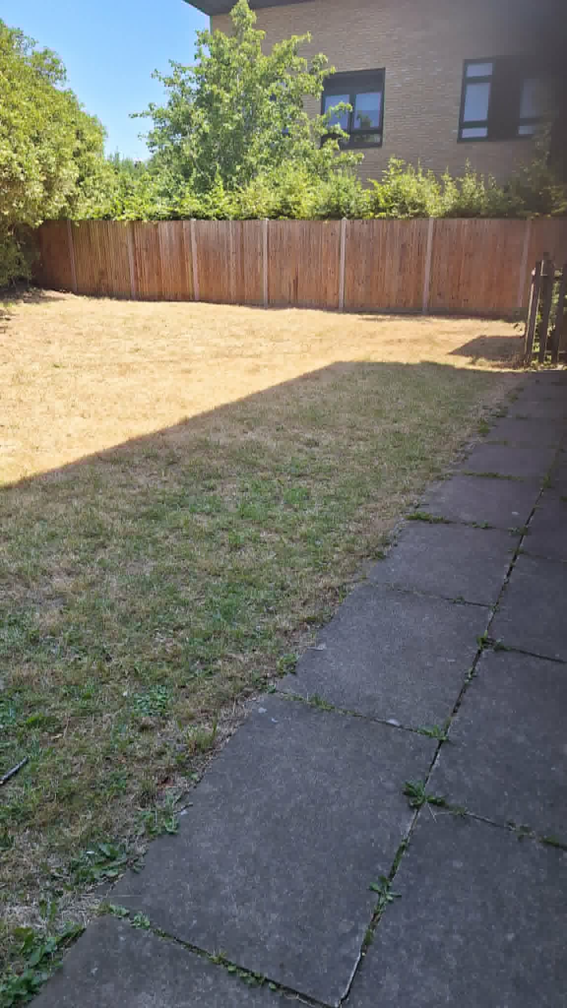 Garden area